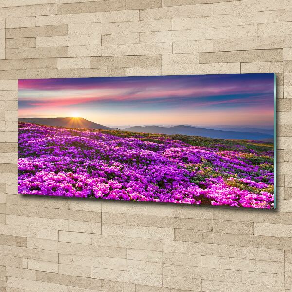 Acrylic wall art Flowers in the mountains