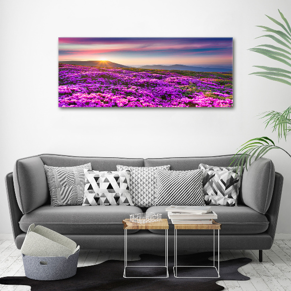 Acrylic wall art Flowers in the mountains