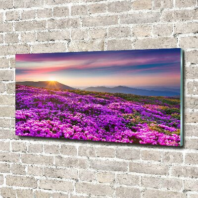 Acrylic wall art Flowers in the mountains