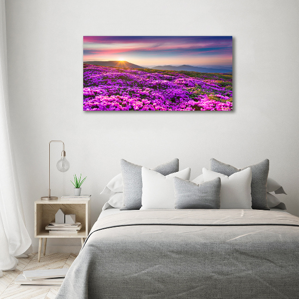 Acrylic wall art Flowers in the mountains