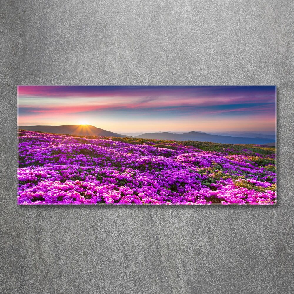 Acrylic wall art Flowers in the mountains