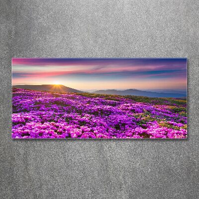 Acrylic wall art Flowers in the mountains