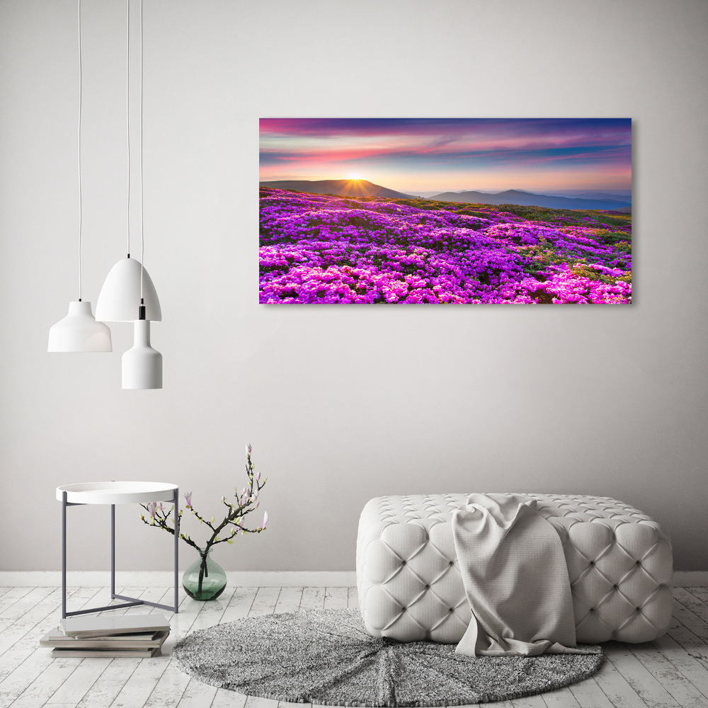 Acrylic wall art Flowers in the mountains