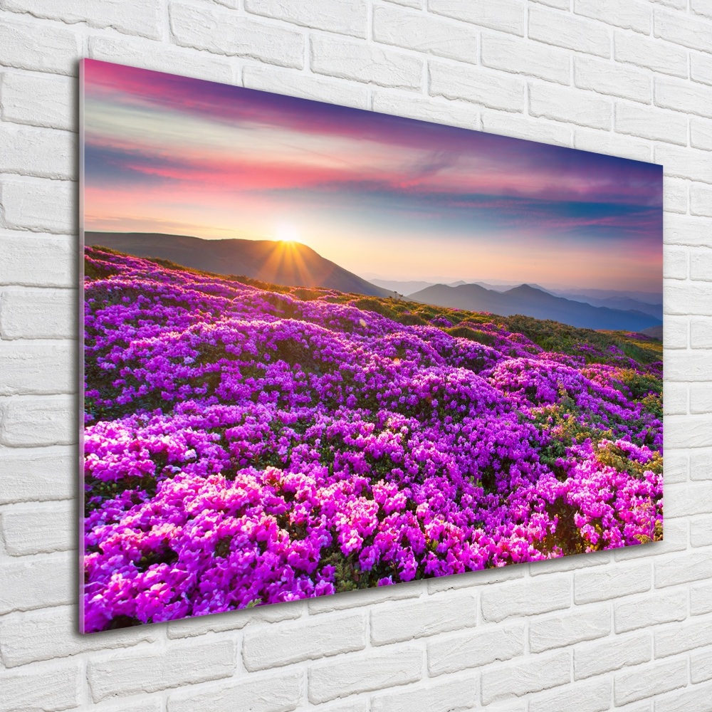 Acrylic wall art Flowers in the mountains