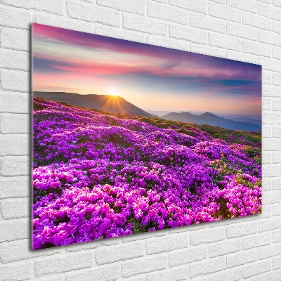 Acrylic wall art Flowers in the mountains