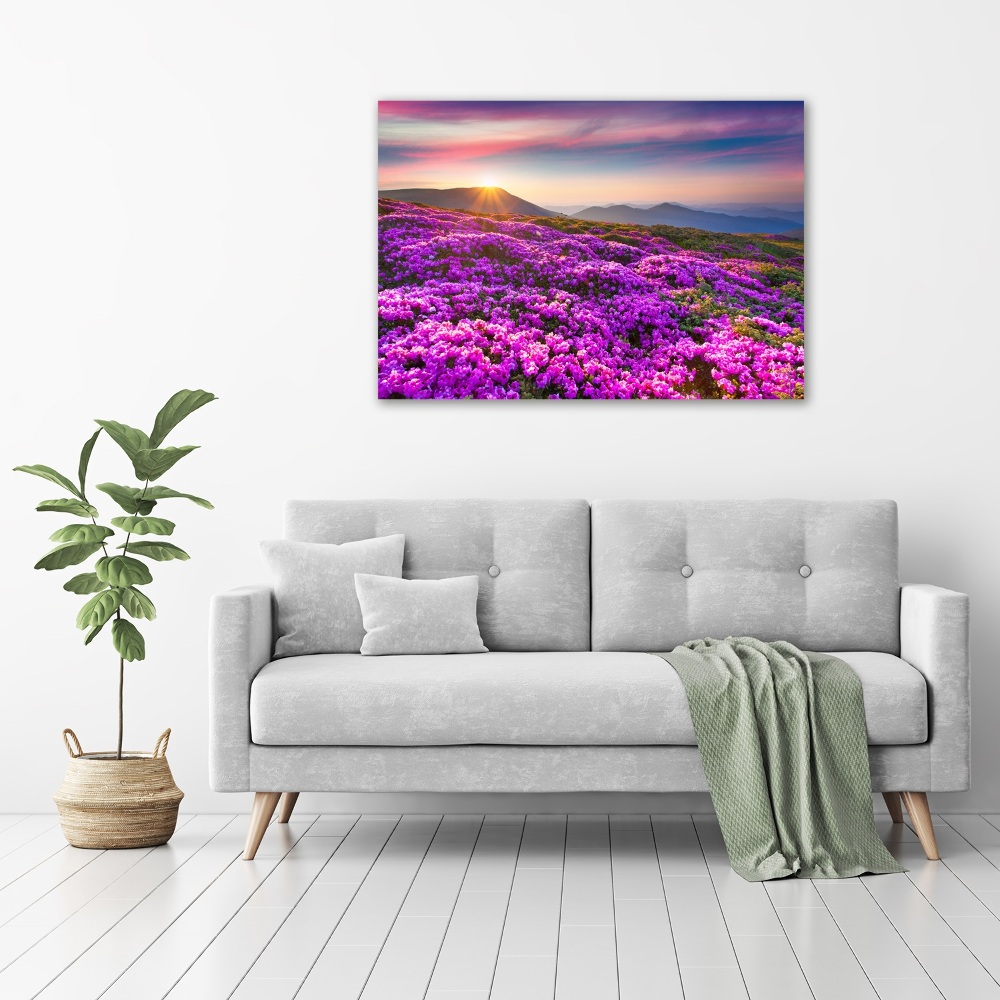 Acrylic wall art Flowers in the mountains