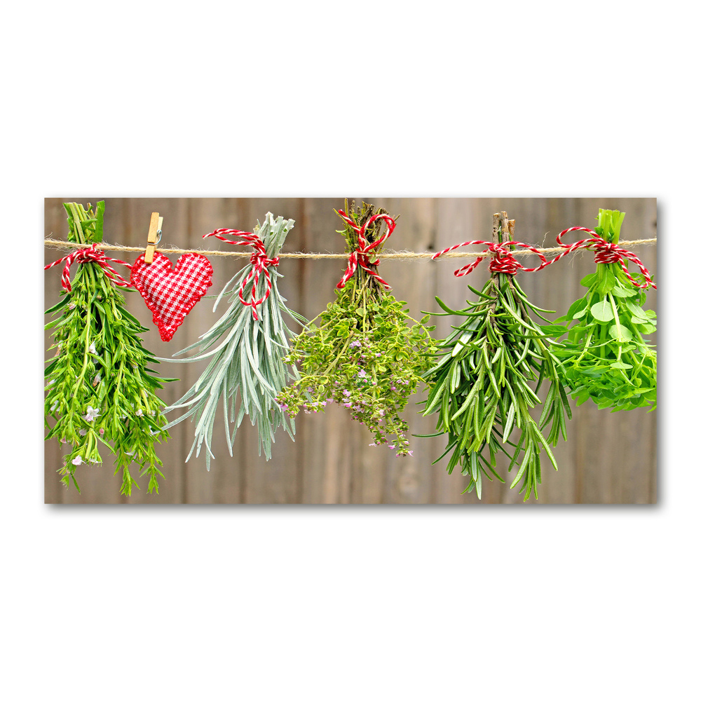 Print on acrylic Herbs on a string