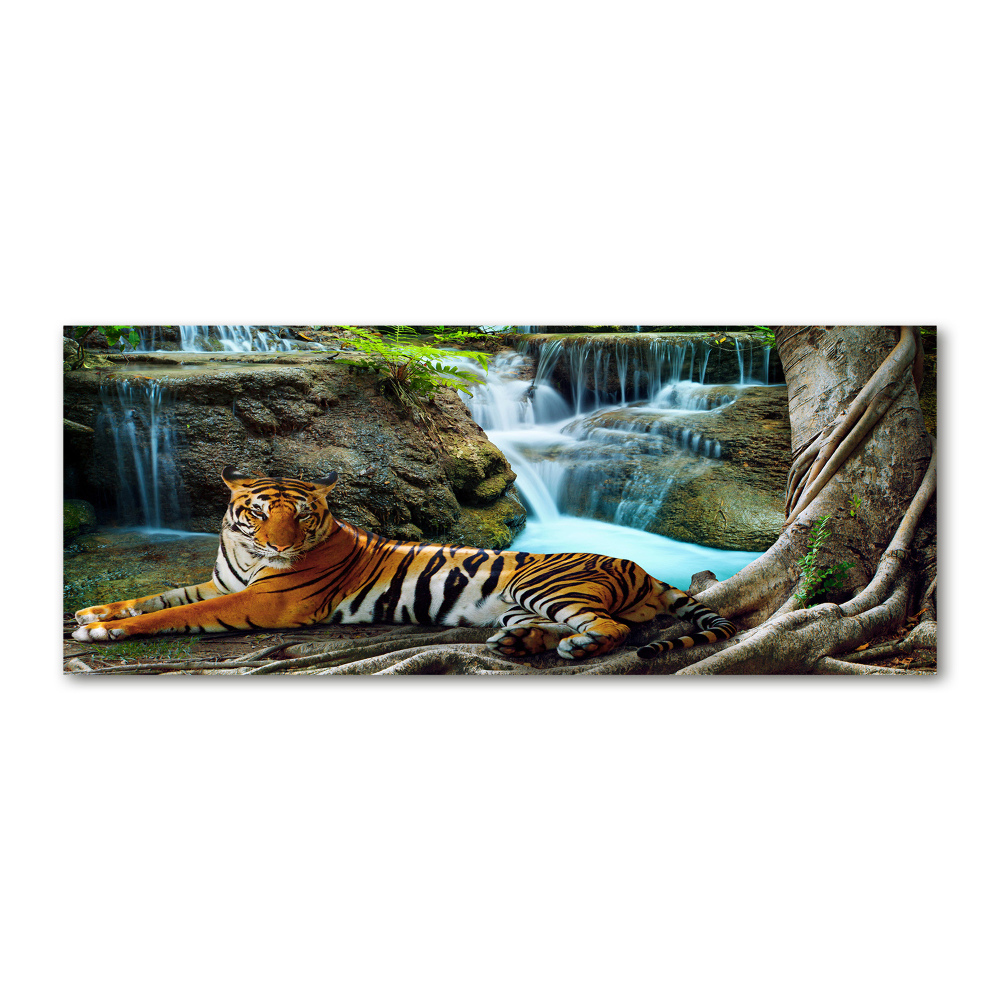 Acrylic wall art Waterfall tiger