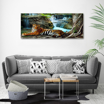 Acrylic wall art Waterfall tiger