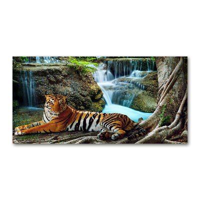 Acrylic wall art Waterfall tiger