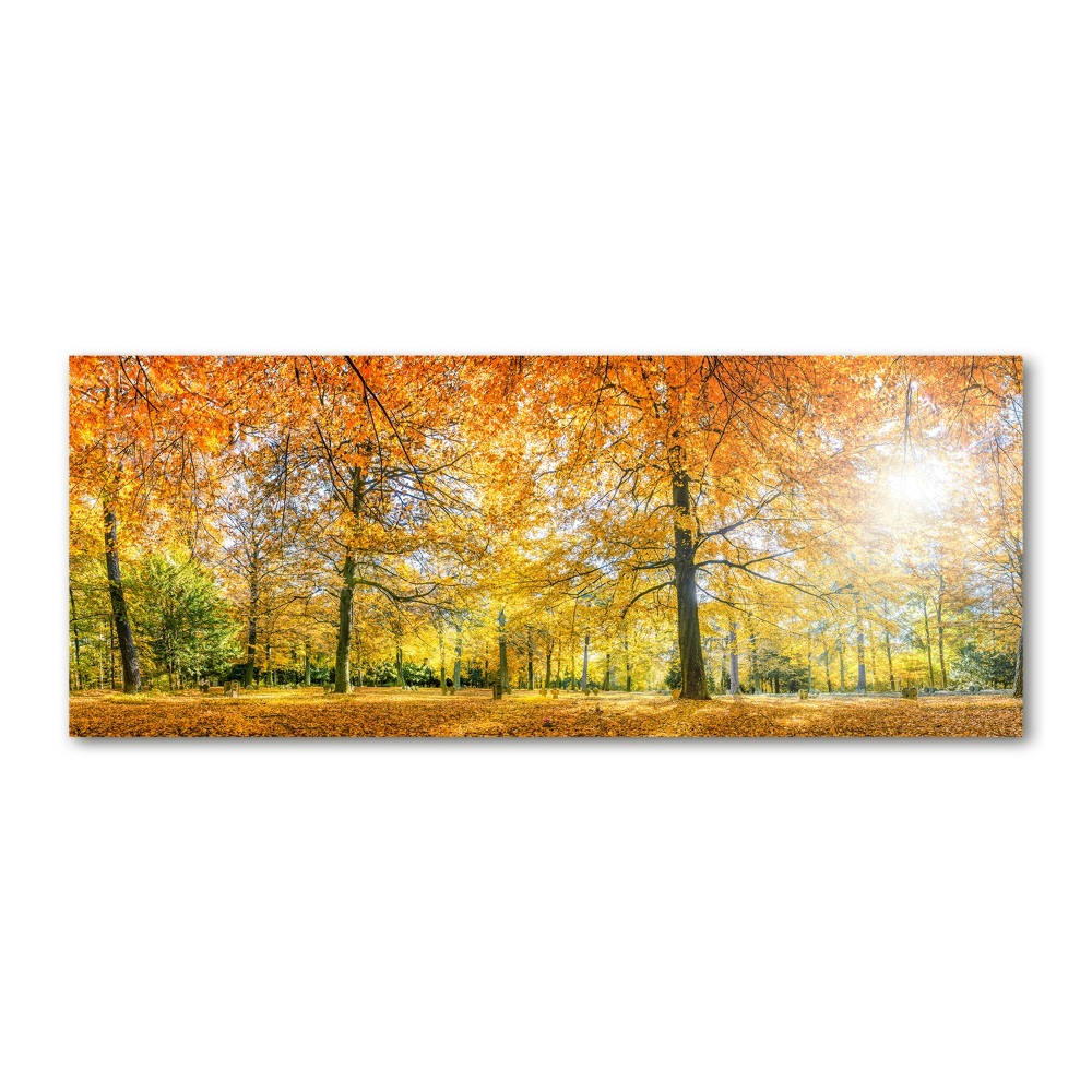 Print on acrylic Forest in autumn