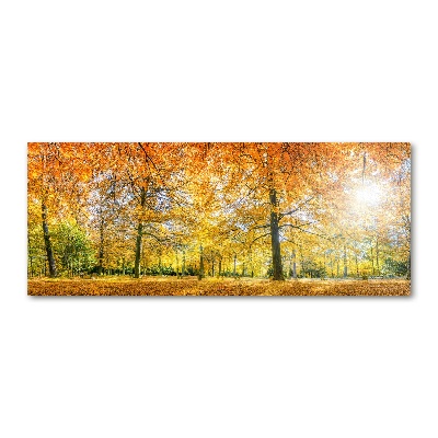 Print on acrylic Forest in autumn