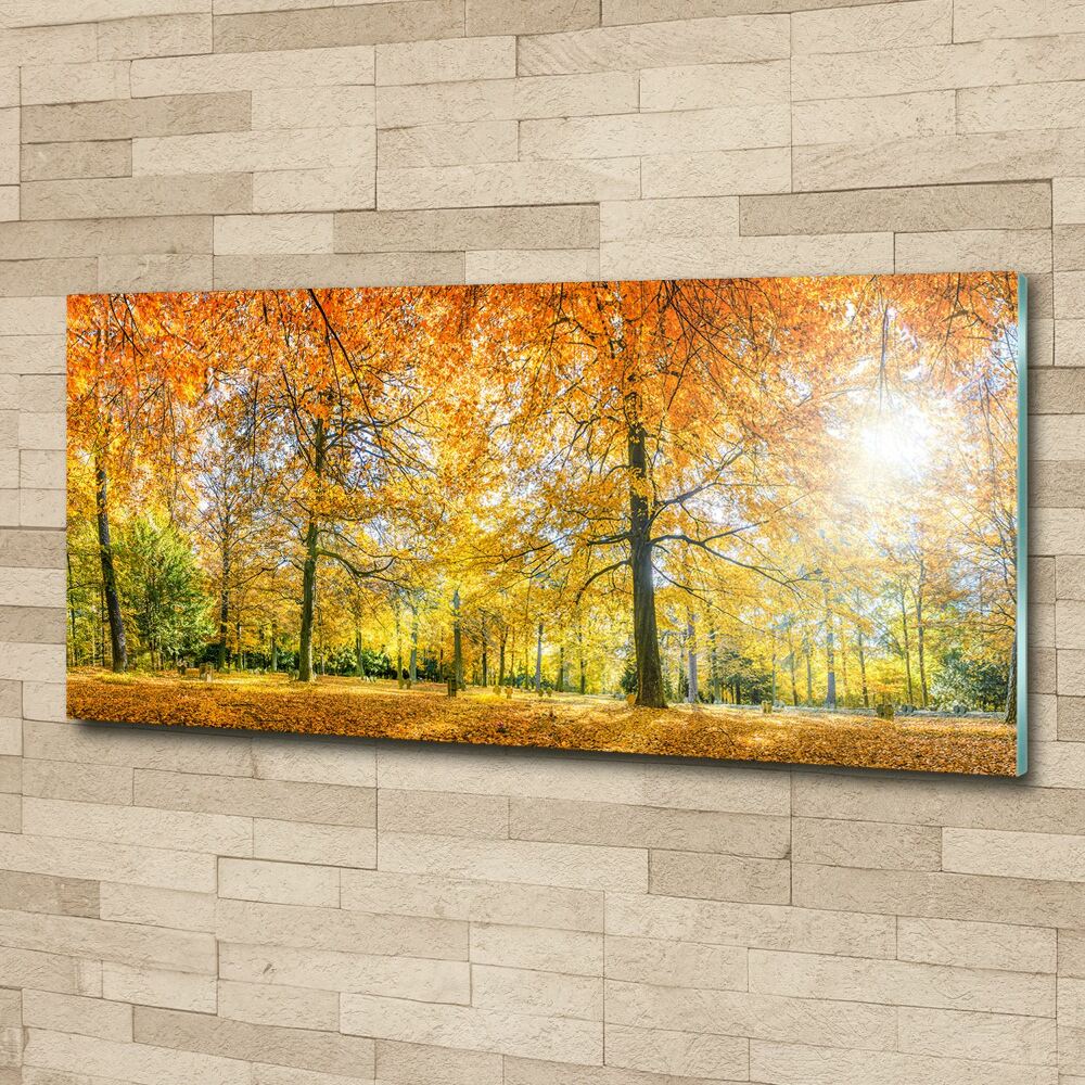 Print on acrylic Forest in autumn