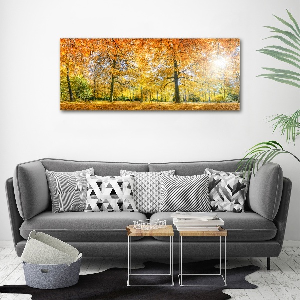 Print on acrylic Forest in autumn