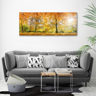 Print on acrylic Forest in autumn