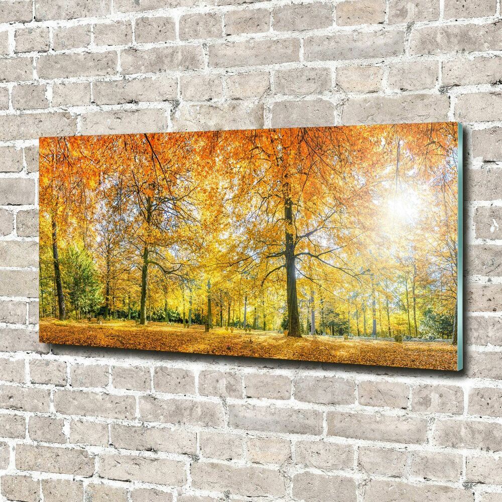 Print on acrylic Forest in autumn