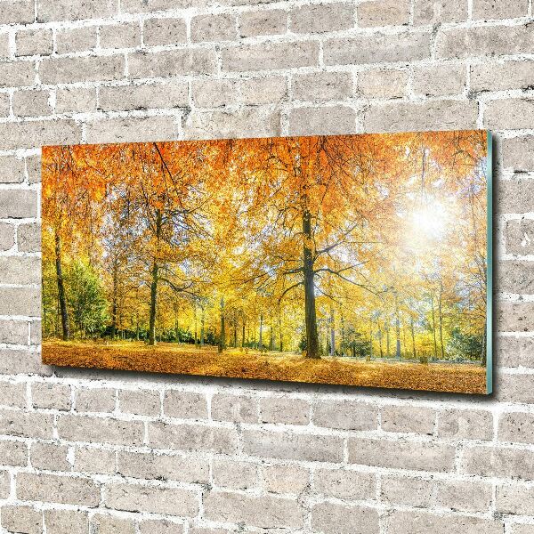 Print on acrylic Forest in autumn