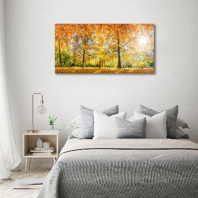 Print on acrylic Forest in autumn