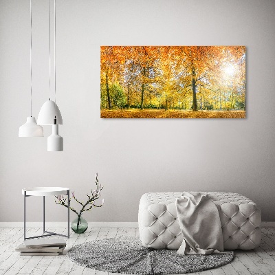 Print on acrylic Forest in autumn