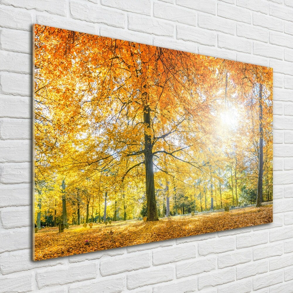 Print on acrylic Forest in autumn