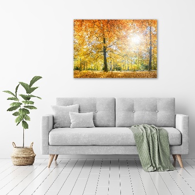 Print on acrylic Forest in autumn