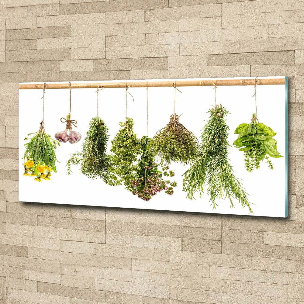 Wall art acrylic Herbs on a string