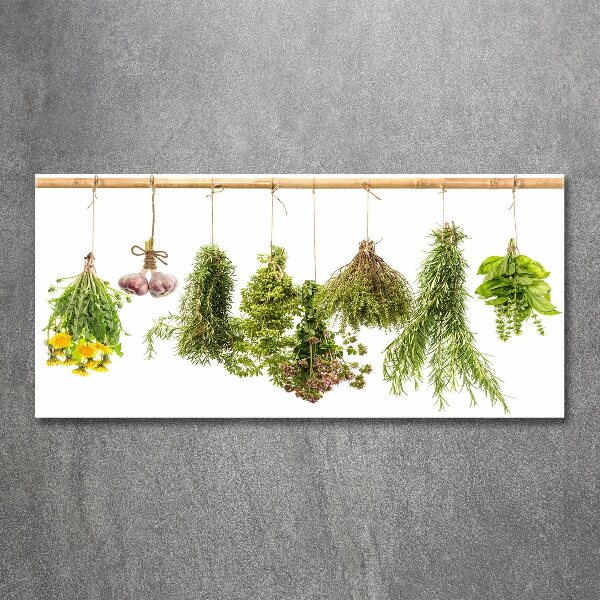 Wall art acrylic Herbs on a string