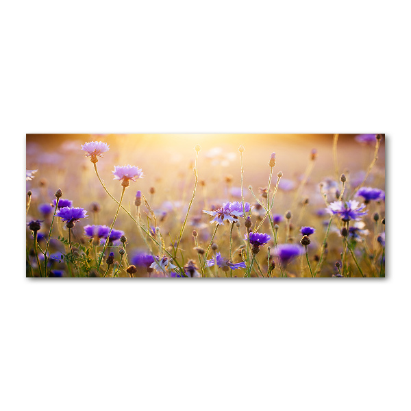 Wall art acrylic Field flowers