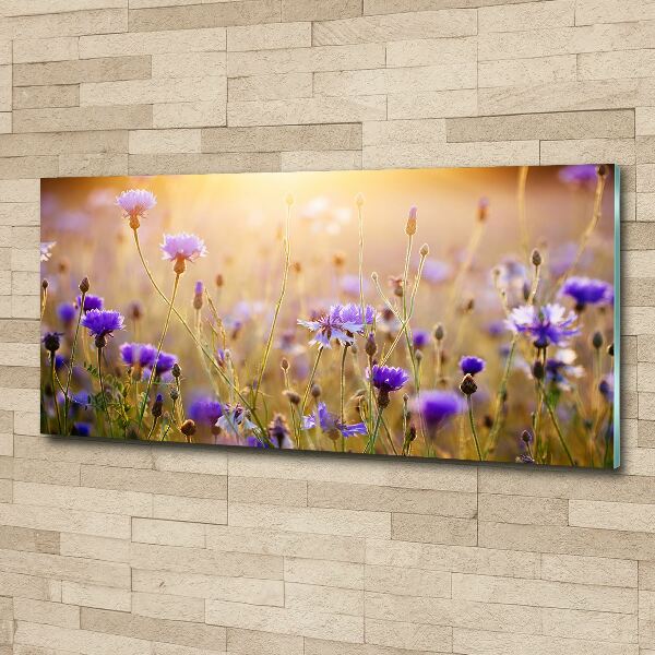 Wall art acrylic Field flowers