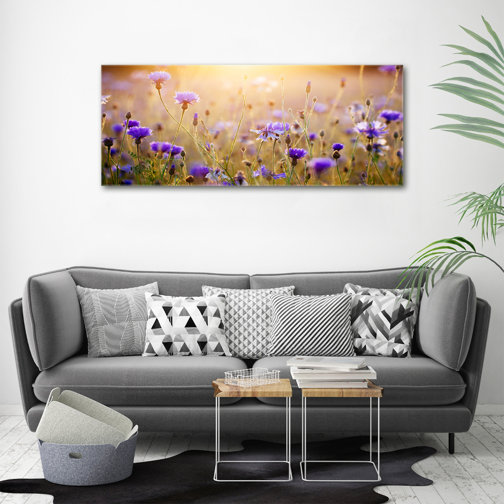 Wall art acrylic Field flowers