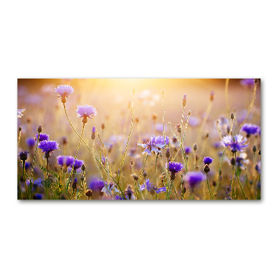 Wall art acrylic Field flowers