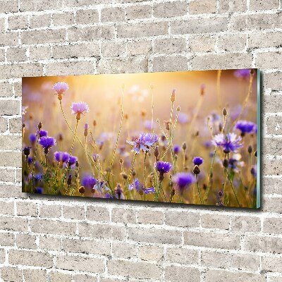 Wall art acrylic Field flowers