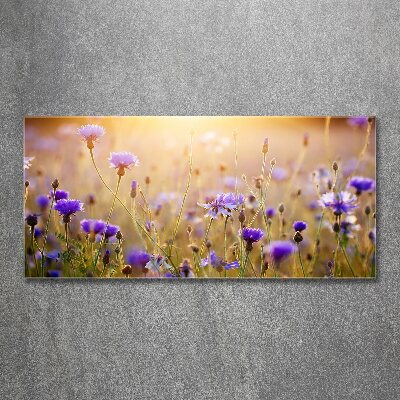 Wall art acrylic Field flowers