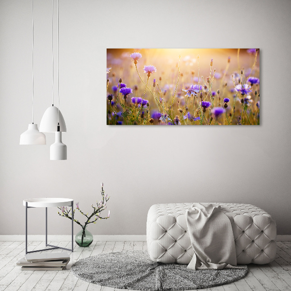 Wall art acrylic Field flowers