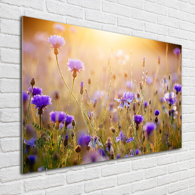 Wall art acrylic Field flowers