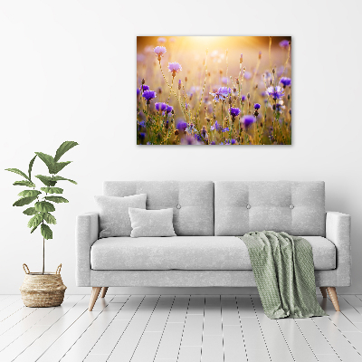 Wall art acrylic Field flowers