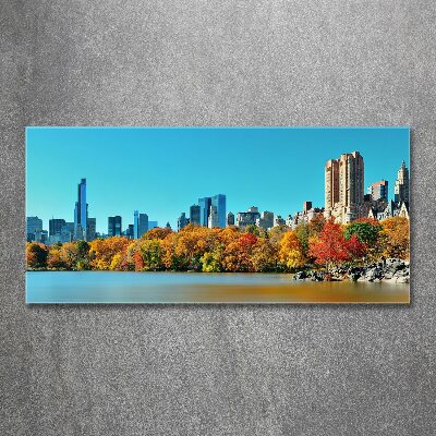 Acrylic print New York in autumn