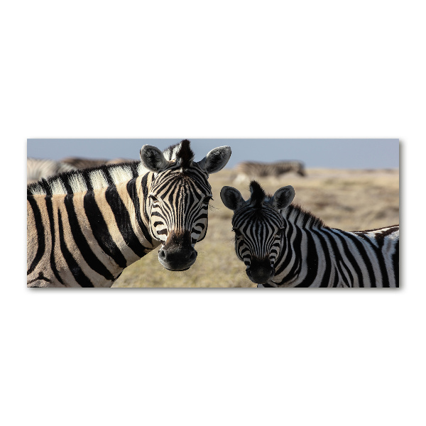 Wall art acrylic Two zebras