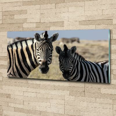 Wall art acrylic Two zebras