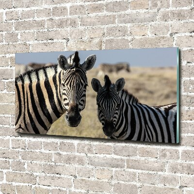 Wall art acrylic Two zebras