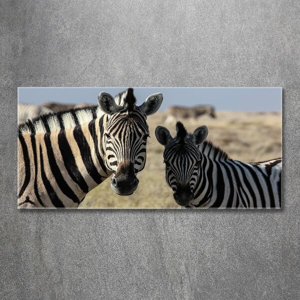 Wall art acrylic Two zebras