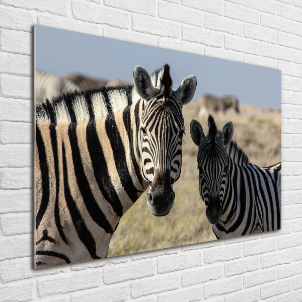 Wall art acrylic Two zebras