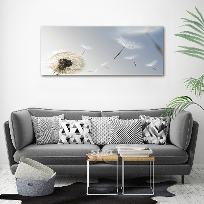 Acrylic print Dandelion