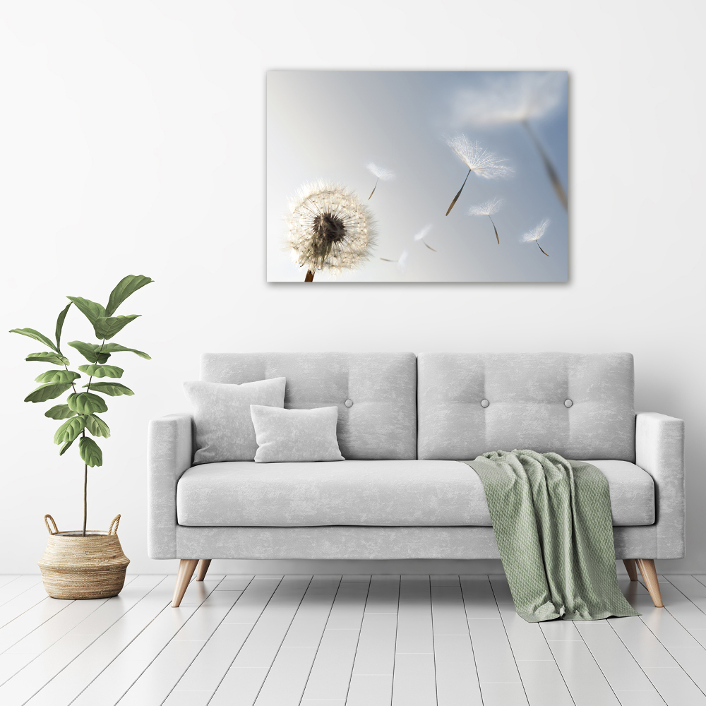 Acrylic print Dandelion