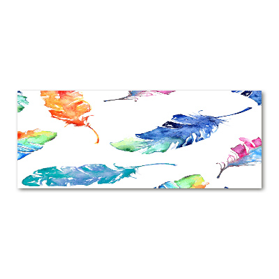 Acrylic wall picture Colorful feathers