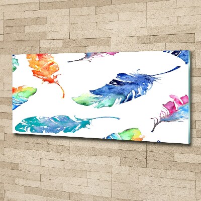 Acrylic wall picture Colorful feathers