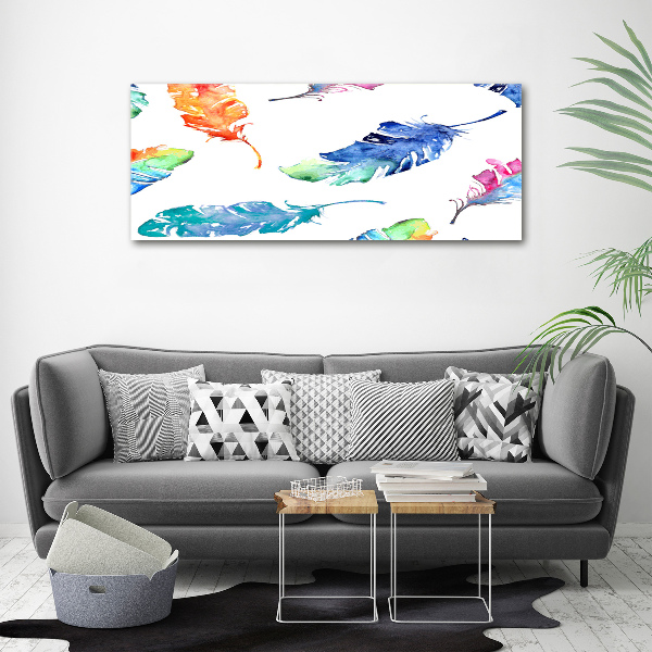 Acrylic wall picture Colorful feathers