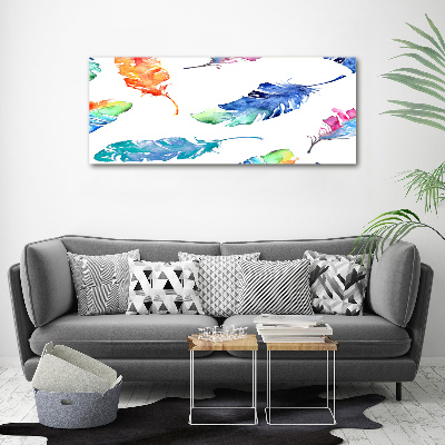 Acrylic wall picture Colorful feathers