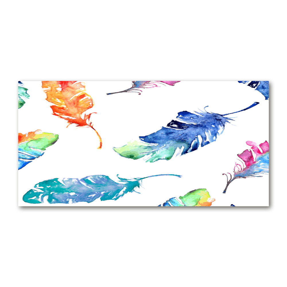 Acrylic wall picture Colorful feathers