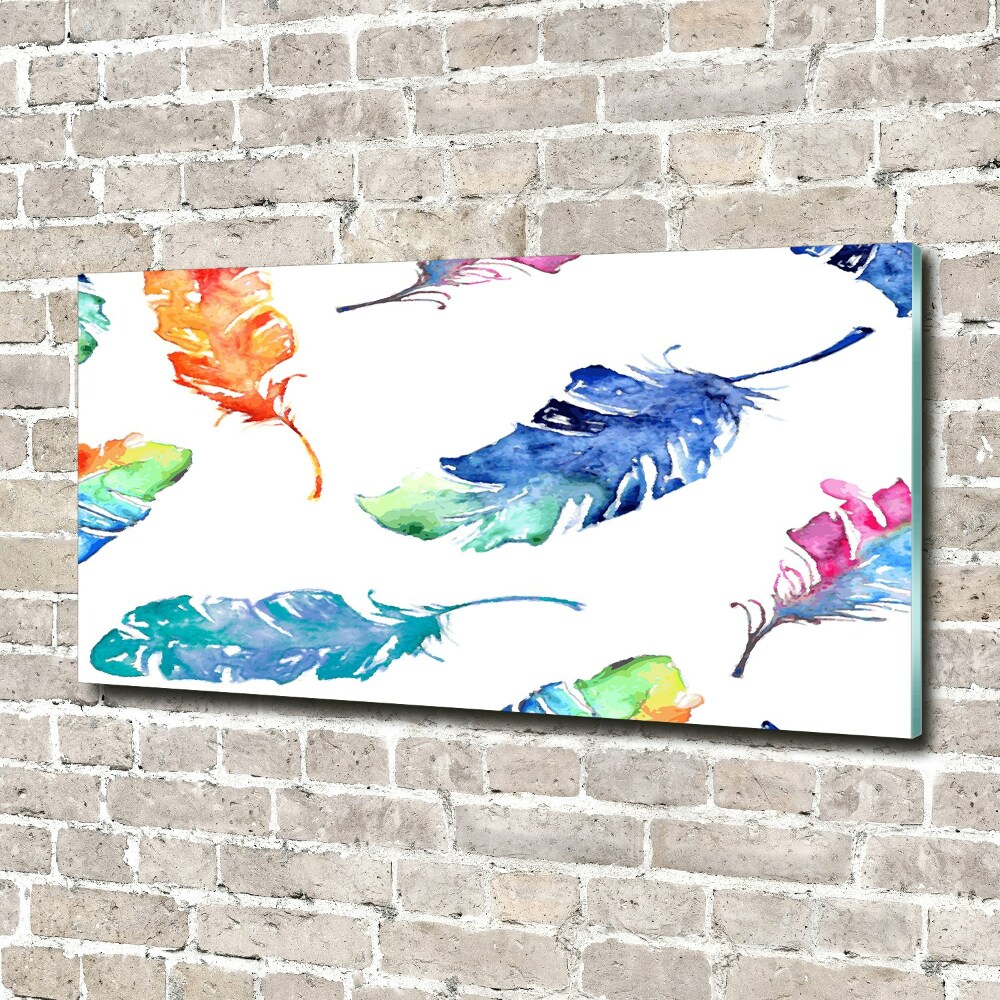 Acrylic wall picture Colorful feathers